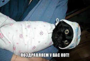 Притворное радушие и дружелюбие американцев