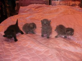 Ну и я своих добавлю...