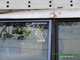 Очередная подборка автоприколов