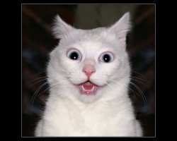 Грозное оружие - рогатка