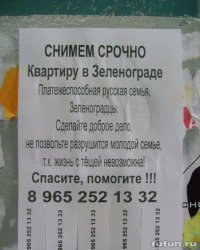 Международный день тещи