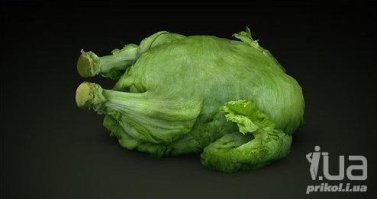 Не понимаю я вегетарианцев