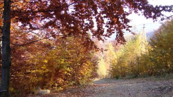 Несколько моих фото. Район - 10 км от Чинадиево.