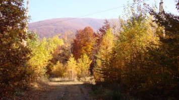 Несколько моих фото. Район - 10 км от Чинадиево.