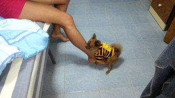 Когда женщина говорит НЕТ