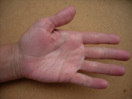 Никогда не спрашивает, всегда делает что хочет