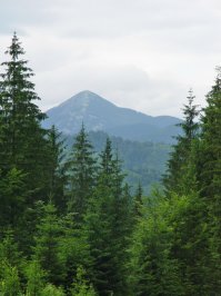 Тоже немножко добавлю фоток)