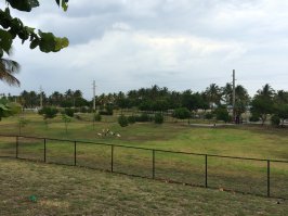 А это площадка для выгула собак у "тупых пиндосов".