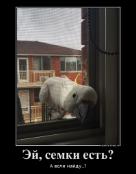 ФотоМгновения 