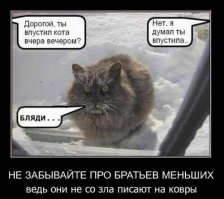 Комментарии в картинках!