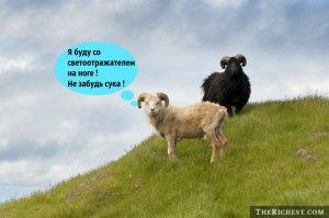 10 фактов, которых вы не знали о Фарерских островах