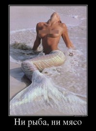 ни рыба ни баба