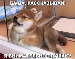 Женщина два года просидела на унитазе и… приросла к нему