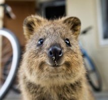 Самый милый говоришь, а мы как же ?