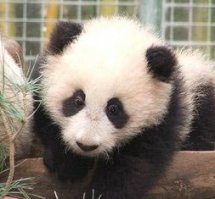 Самый милый говоришь, а мы как же ?