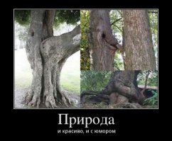 Ничего пошлого, это все создала сама природа! 