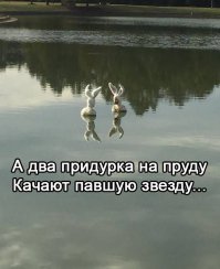 Прикольные картинки