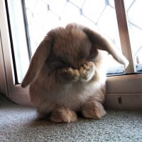 Просто достали самолетик и он от всех решил спрятаться!