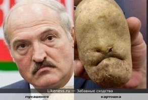 Очередная подборка автоприколов 