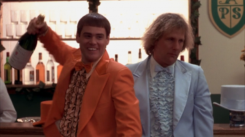 Сова альбинос 