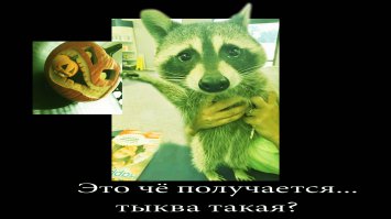Фотоподборка за 28.10.2015
