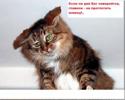 Не перевелись еще Кулибины на Земле Русской!