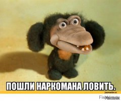 Зайцекрыл, пёсодил и другие монстры пугающей таксидермии