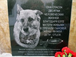 не пограничная, но тоже служила