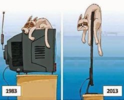 под лианы? Горшок-то на нынешний никак не водрузить :-)