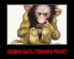 "Британские" ученые из Ростова сделали "феноменальное открытие"