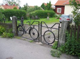 Фотоподборка за 28.10.2015