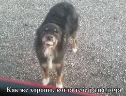 Откуда на Фишках фото моей тёщи???