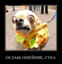"О чем думают ваши питомцы..."