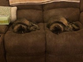 ... для просмотра изображения: включить функцию 3D, одеть очки ...