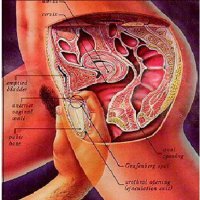 10 исторических фактов «про это», о которых не сообщат в школьных учебниках
