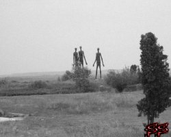 20 жутких старых фотографий, персонажи которых будут являться вам в ночных кошмарах