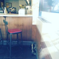 в кофешке видимо до жути отлично готовят, что даже от вони скунс крякнул!!