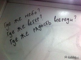 Фотоподборка за 29.10.2015