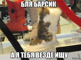 Котики с лишним весом, да-да и такое бывает! 