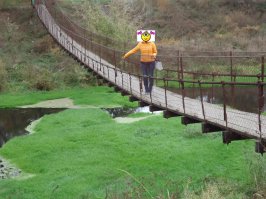 Подвесной мост через реку Нугрь, г. Болхов, Орловская обл. Самый кайф, когда по нему бежишь / прыгаешь, амплитуда потрясает