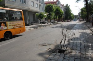 Вот вам настоящее произведение искусства: бонсай в люке! Такого чуда даже в Японии нет!