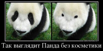 Принцессы, куклы и героини мультфильмов без макияжа (19 фото)