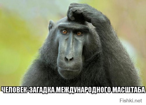 Тест «Несуществующее чудовище»