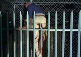 Этот прикол мог и так закончиться!