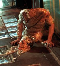 13й призрак. Торс.