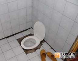 Самые необычные туалеты мира