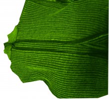 Вот, специально убрал фон, т.к. именно фон не дает людям, страдающим дальтонизмом, правильно определить цвет объекта.
Ну где тут серый???