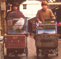 Вы открылись? Мы идем к Вам!