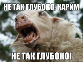 Мы должны уважать культурные особенносты других