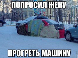 Собачий холод! Поймет тот, кто водит зимой 